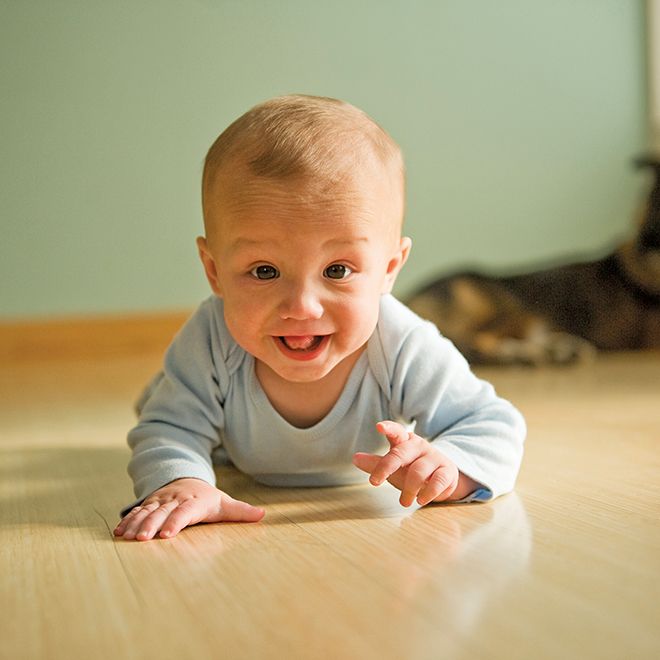 de for New Parents: Everything You Need From Pregnancy to Toddlerhood