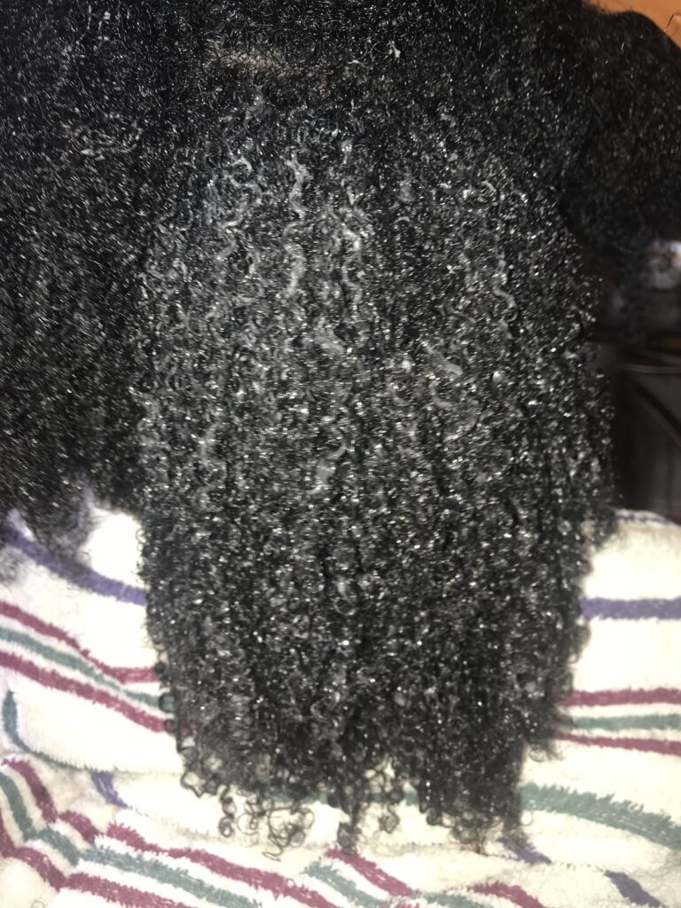 a well moisturized 4C Hair