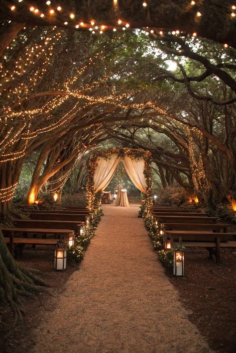 A wooden fairy wedding with the perfect blend of magic, nature, and romance