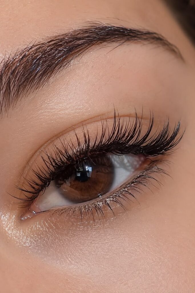 Wispy Wet Set Lash Extensions