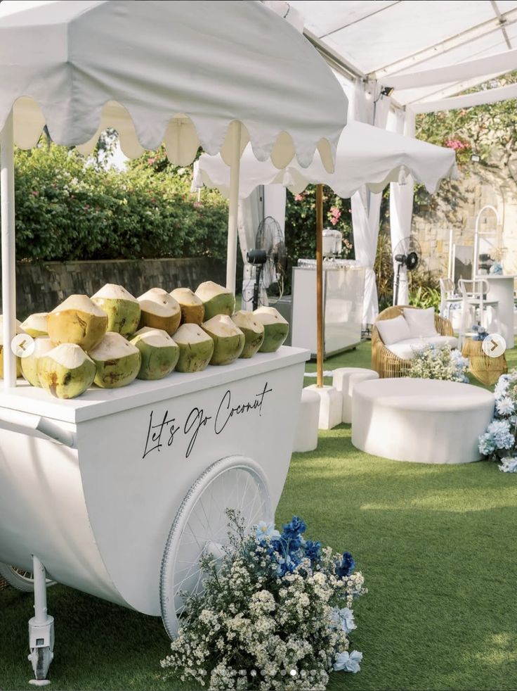Cocktail Hour Coconut Stand